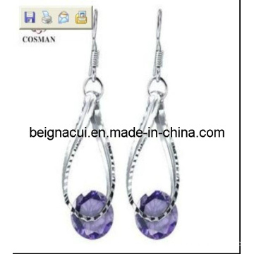 Brincos de cristal da cor de Tanzanite Sw, produtos 2013 novos no mercado (WSEQP04136)